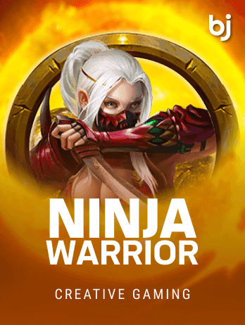 Ninja Warrior screenshot